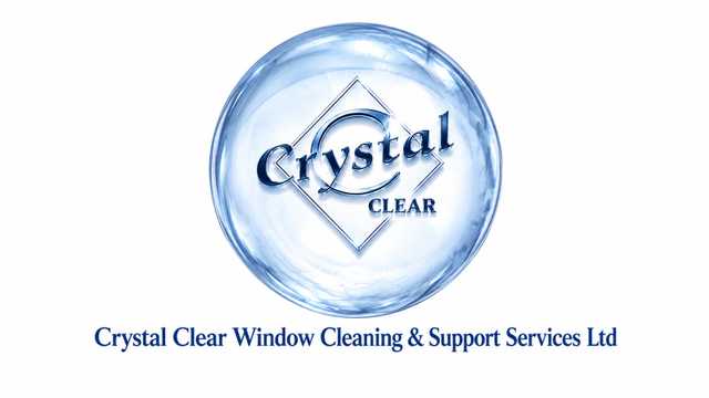 Commercial Window Cleaner