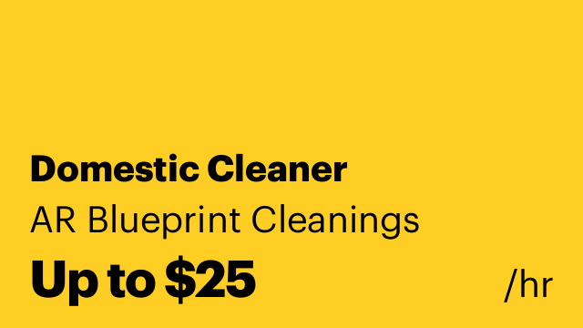 Domestic Cleaner