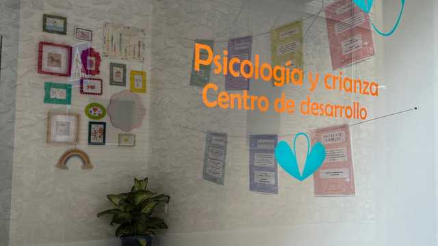 Colaborador/a
