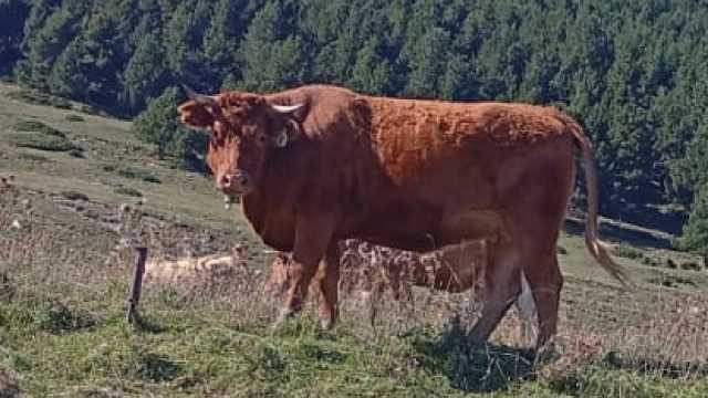 Camarero/a