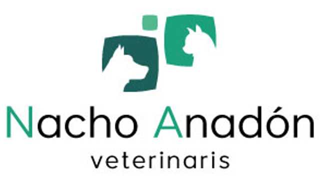 Veterinario/a