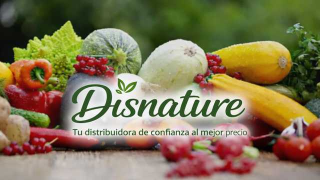 Repartidor, transportista 20H