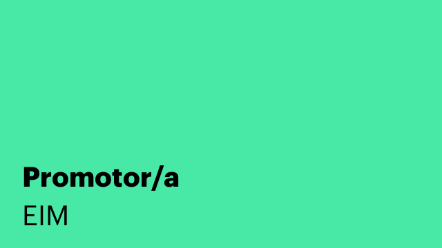 Promotor/a