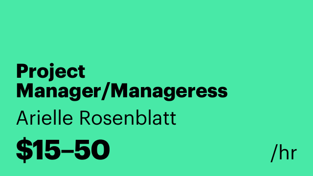 Project Manager/Manageress