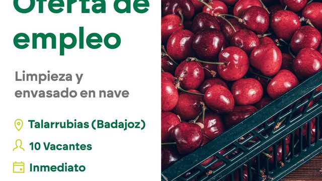 Envasado fruta en nave