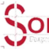 Solutex P. avatar icon