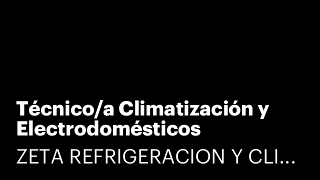 Técnico/a Climatización y Electrodomésticos