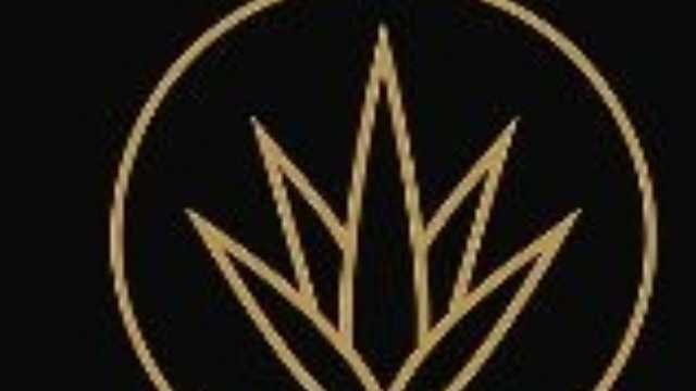 Camarera de Restaurante