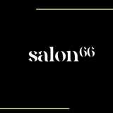 S66 logo