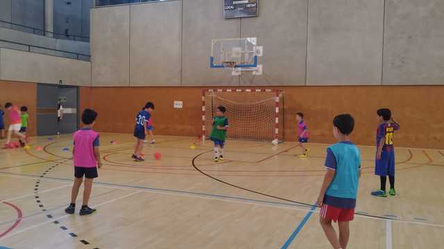 Entrenador/a de voleibol per a etapes formatives