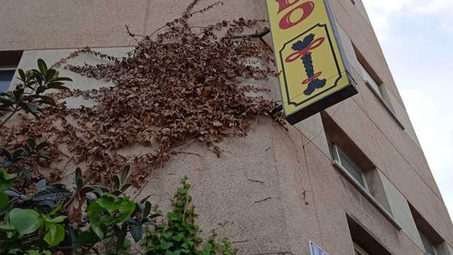 Maquinista de costura