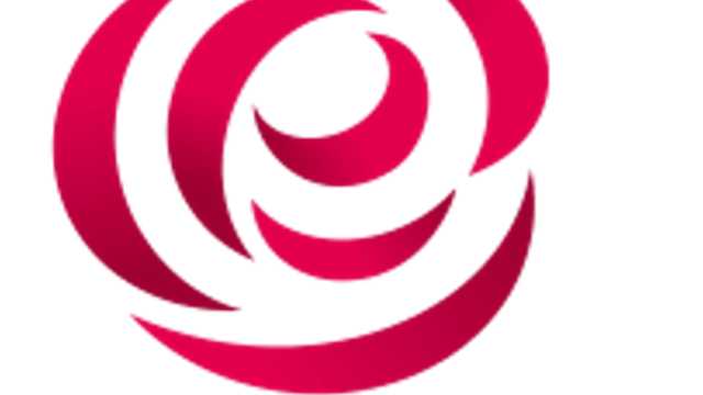 AUXILIAR DE SERVICIO Y LIMPIEZA
