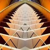 Alejandro S. avatar icon