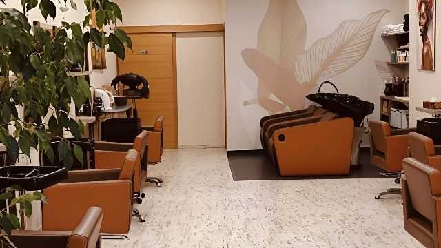 Oficial de Peluquería