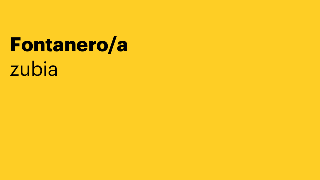 Fontanero/a