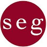 SEGURANZIA S. avatar icon