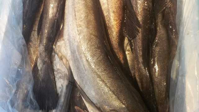 Ayudante/a Pescadería