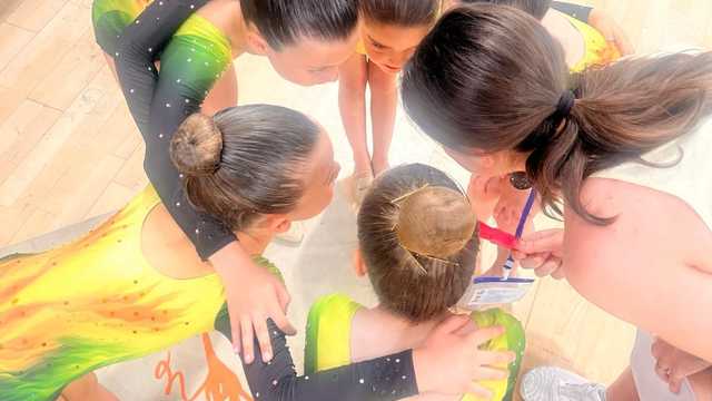 Técnico Deportivo; Monitor/a; Entrenador/a de gimnasia rítmica