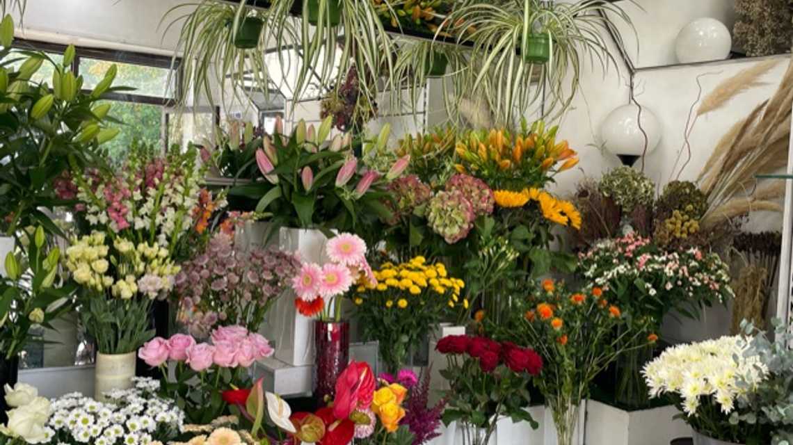 Flower Gallery cover image