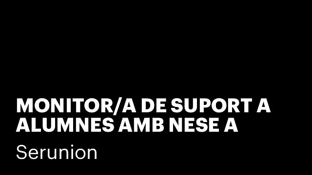 MONITOR/A DE SUPORT A ALUMNES AMB NESE A PALAFRUGELL [SMDSC]
