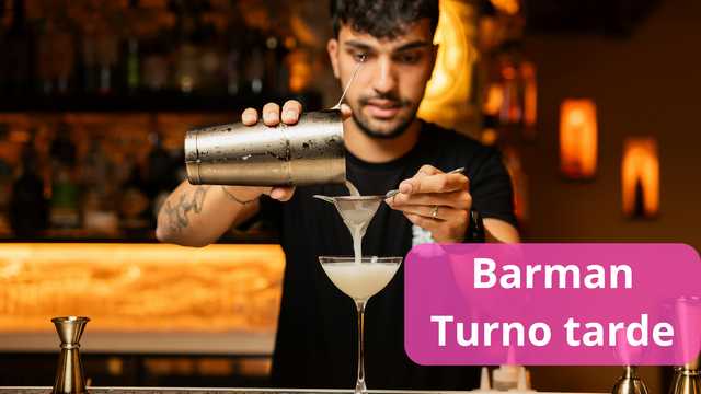 Barman turno tarde