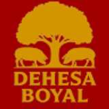 Félix R. avatar icon