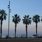 Berta M. avatar icon