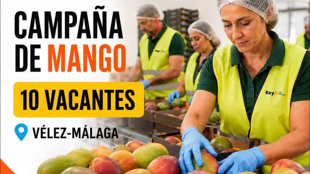 OPERARIO/A MANIPULADO Y ENVASADO – CAMPAÑA DE MANGO