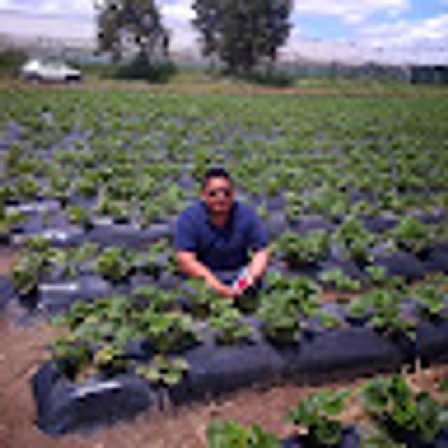 Candidate avatar