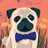 Shelen L. avatar icon