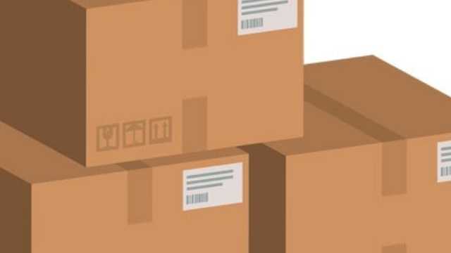 Experto en Logística/Empaquetado