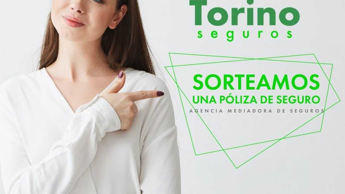 TORINO SEGUROS cover image