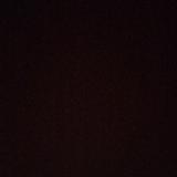 Pilar G. avatar icon