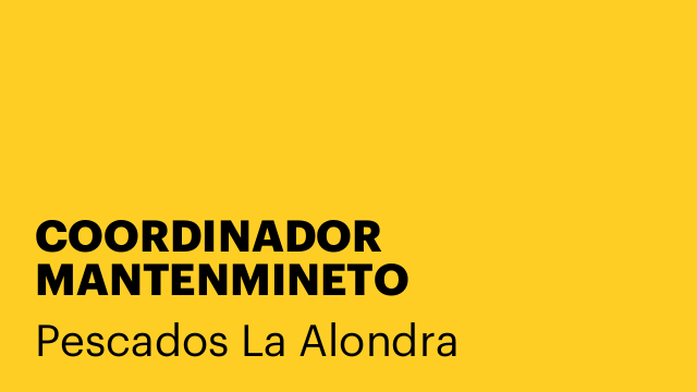 COORDINADOR MANTENMINETO
