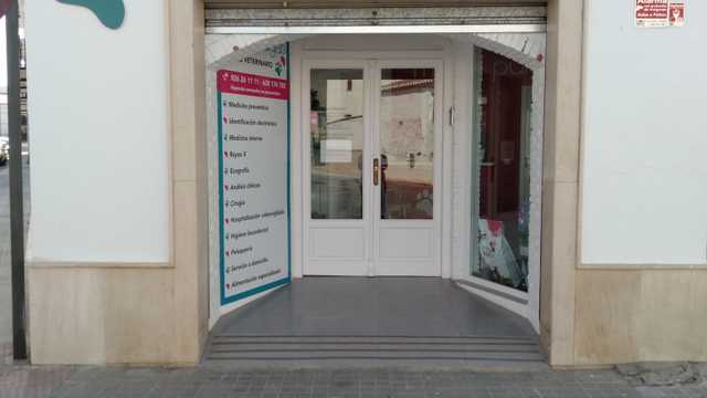 Veterinario/a