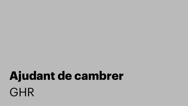 Ajudant de cambrer