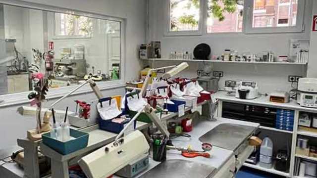 Protésico dental