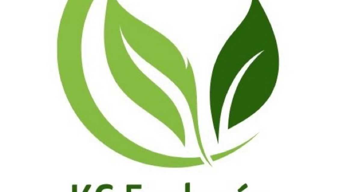 KG ecologia S.L cover image