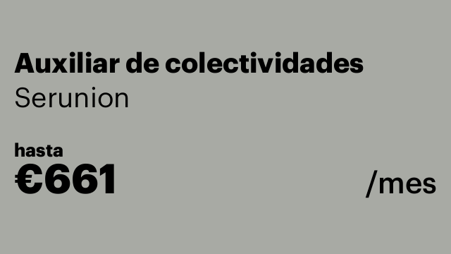 Auxiliar de colectividades