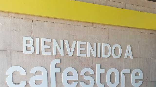 Limpiador/a