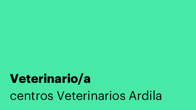 Veterinario/a
