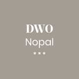 Dirección DWO Nopal avatar icon