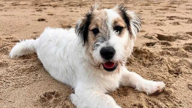 Peluquero/a