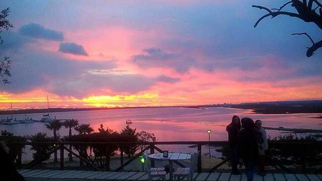 Camarero/a de Barra y Sala/Terraza
