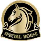Special Horse Irish Pub avatar icon