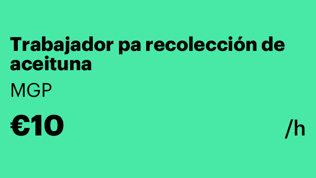 Trabajador pa recolección de aceituna