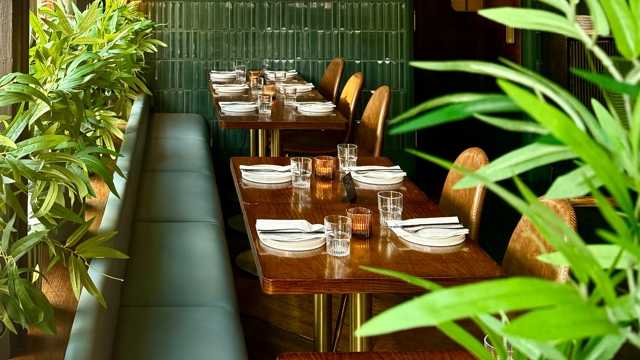 Head Chef