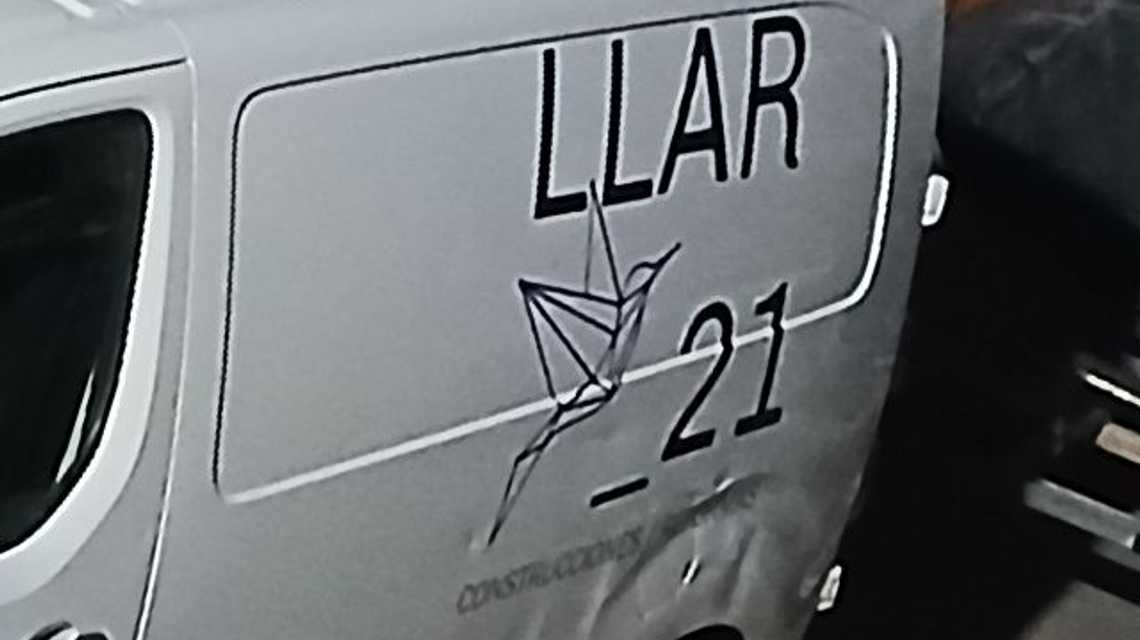 Llar_21 cover image