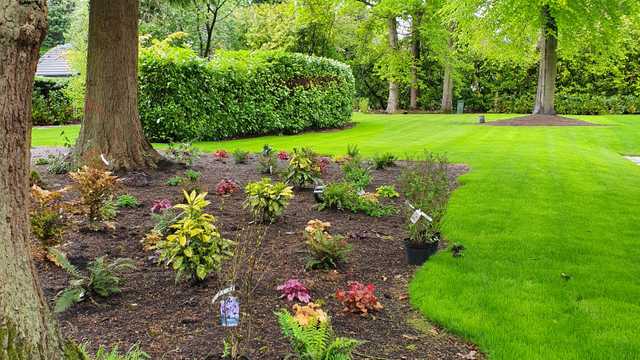 Gardener