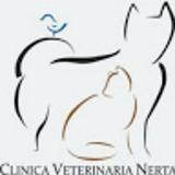 CLINICA VETERINARIA NERTA avatar icon